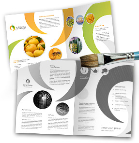 Trifold Brochure Templates Customization